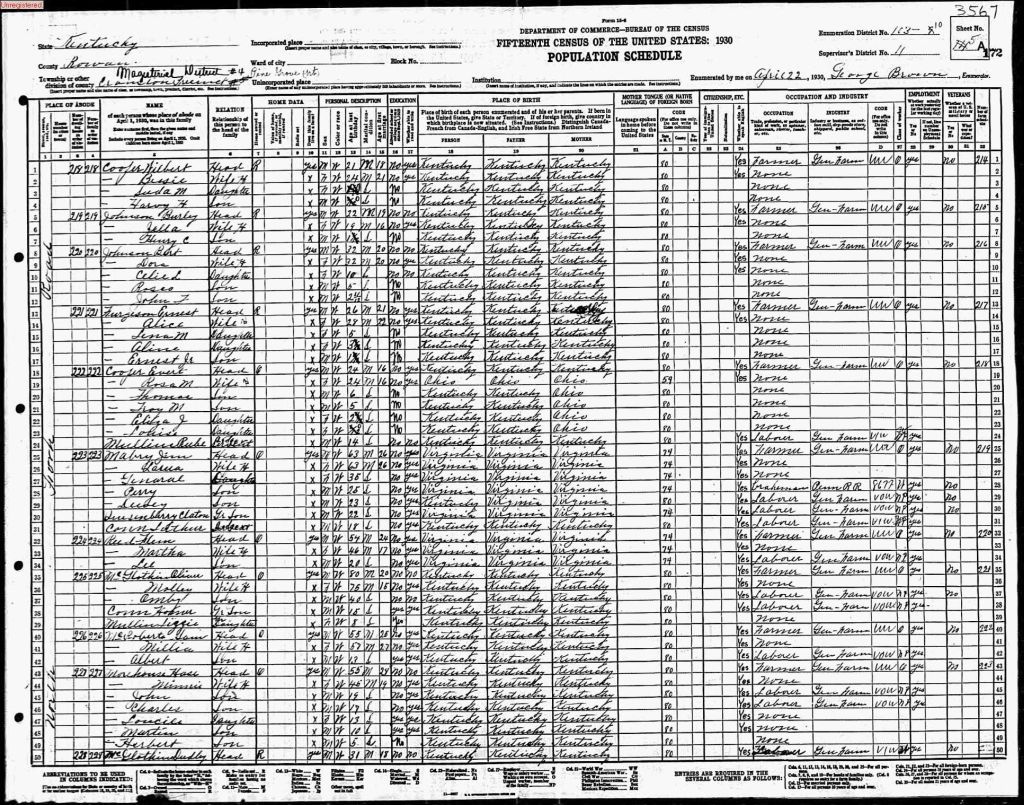 census image