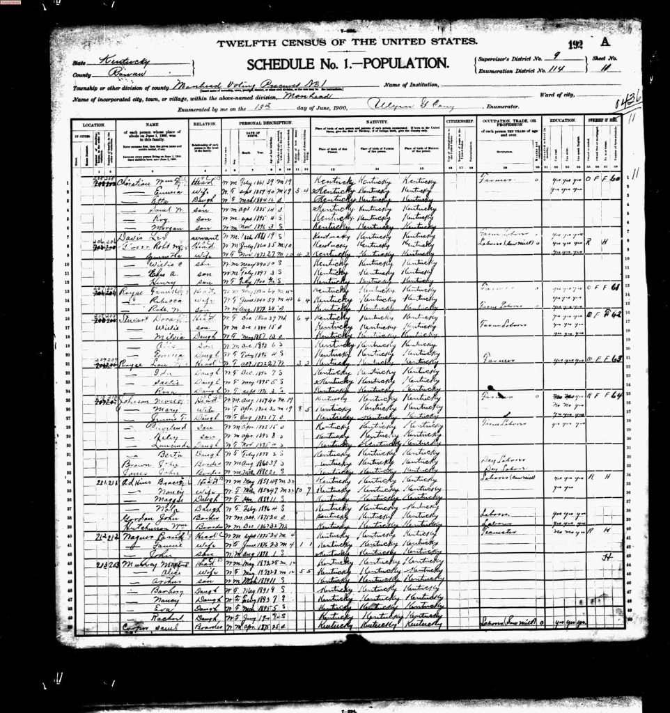 census image