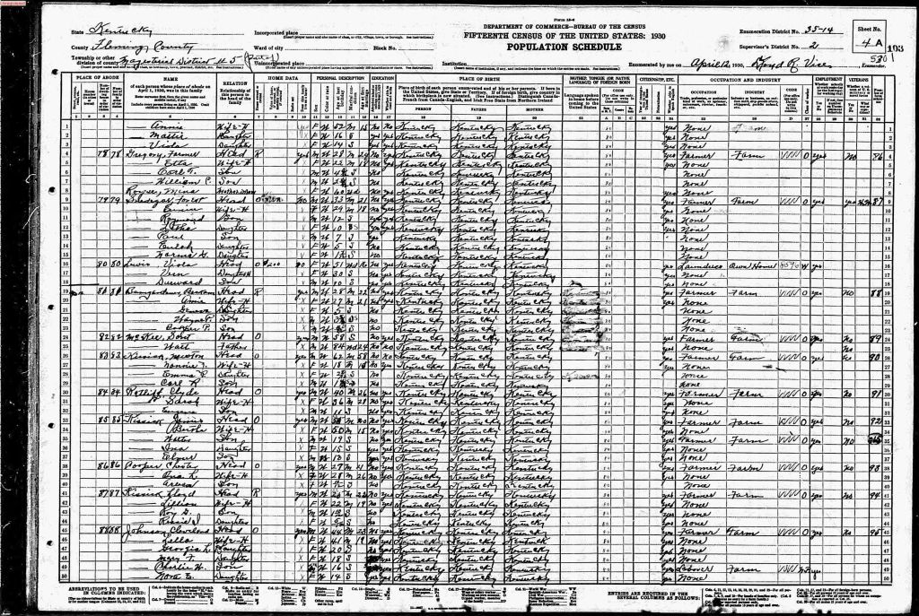 census image