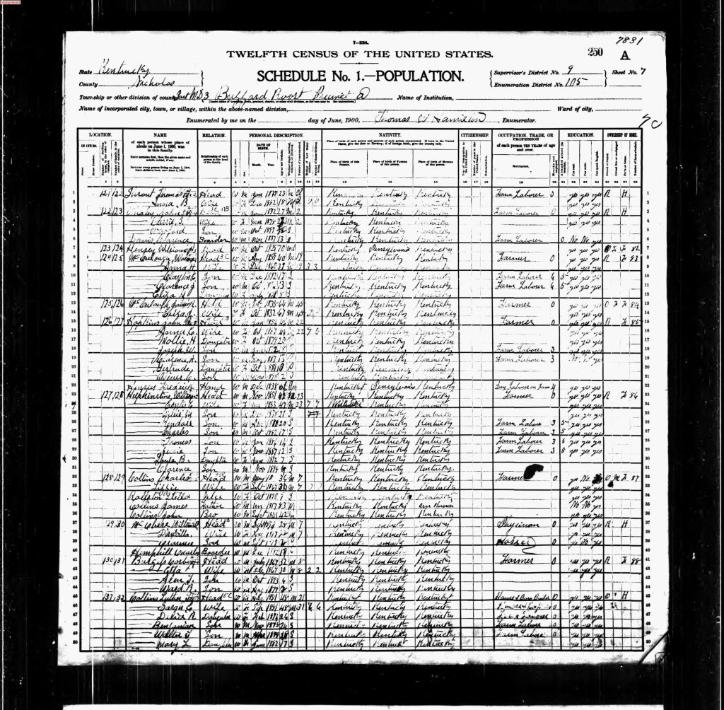 census image