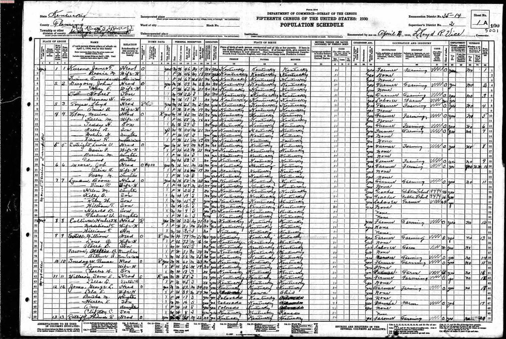 census image