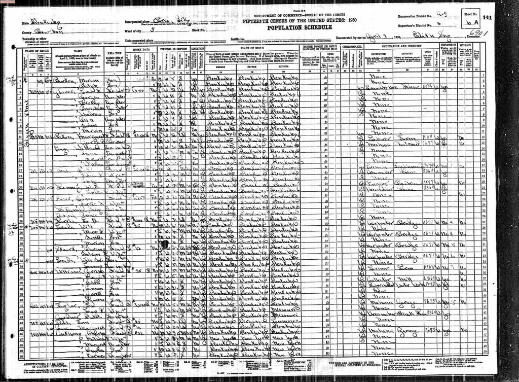 census image