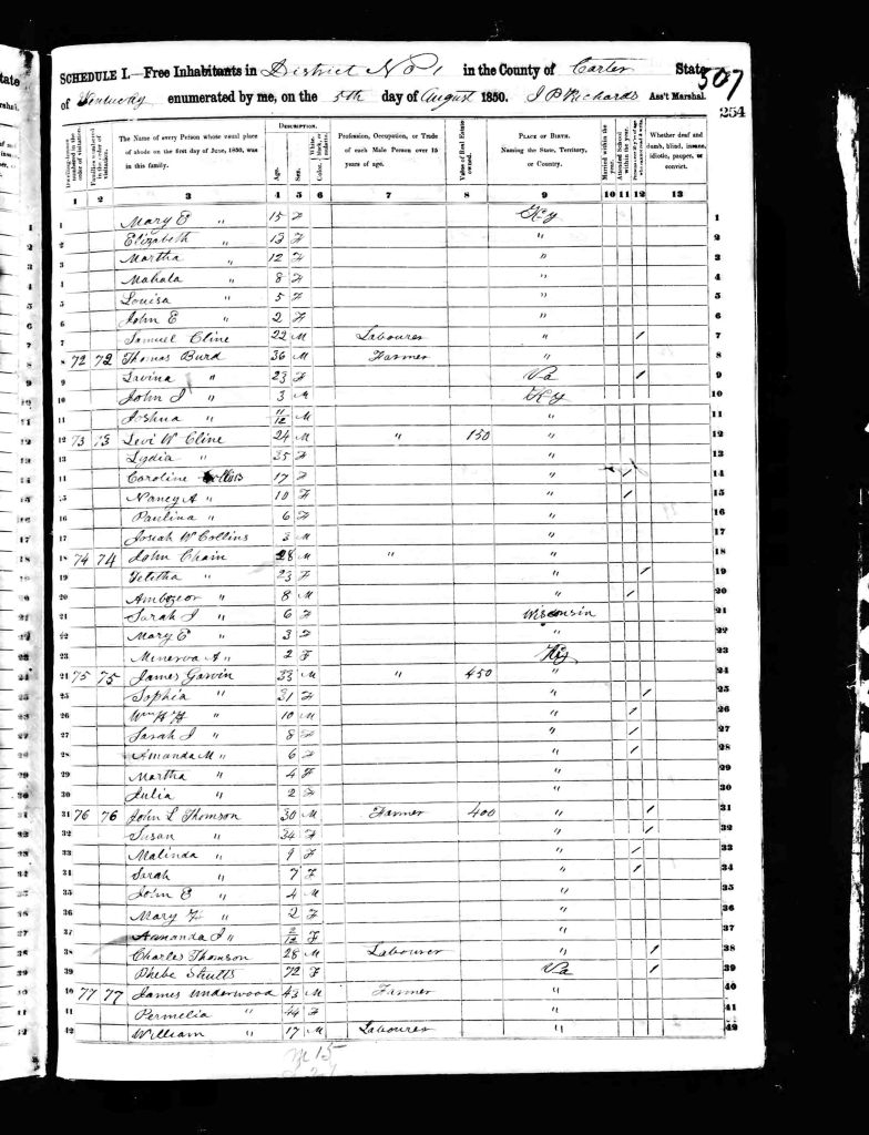 census image