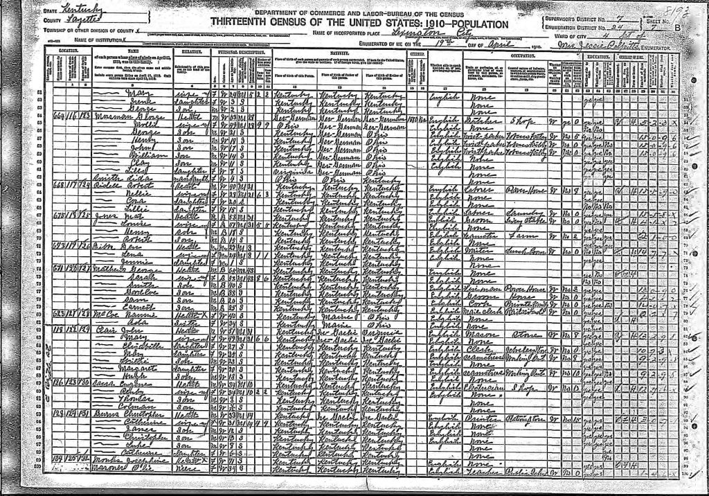 census image