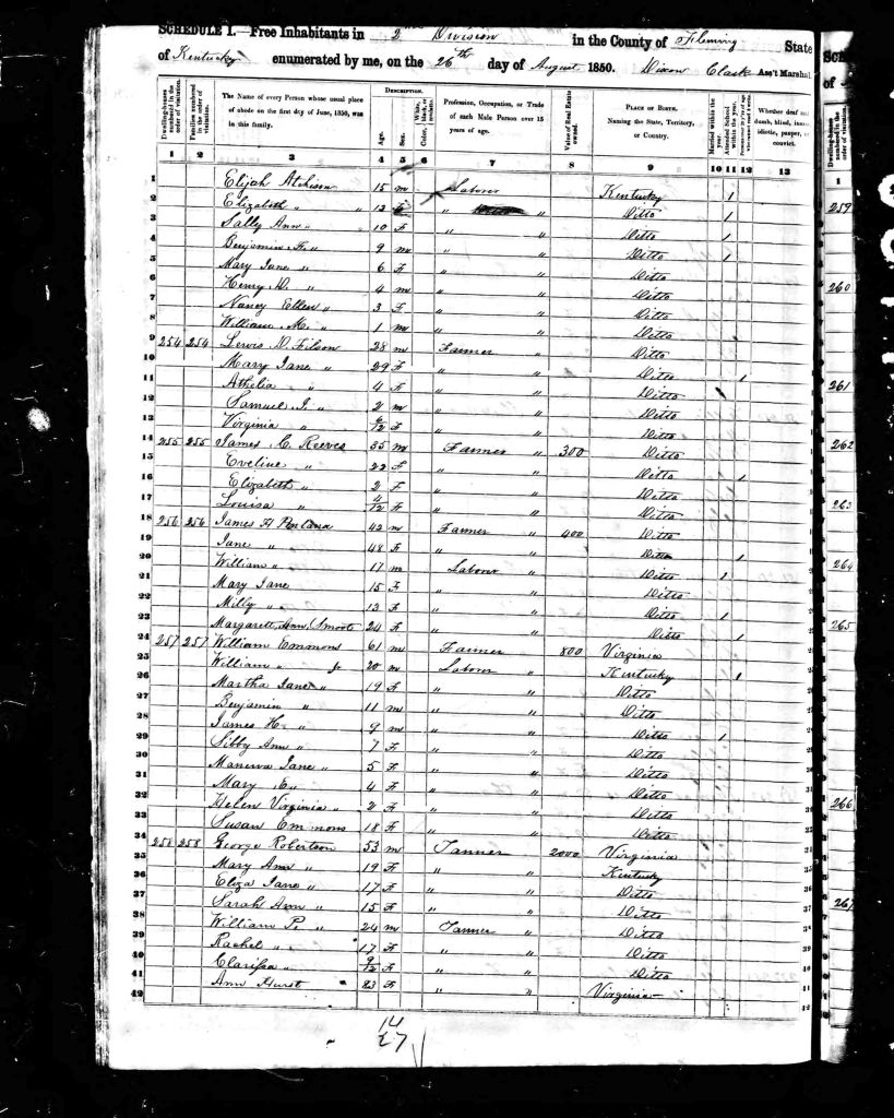 census image