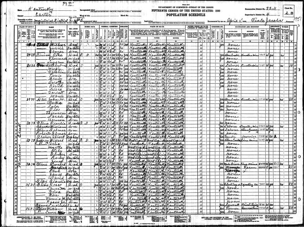 census image