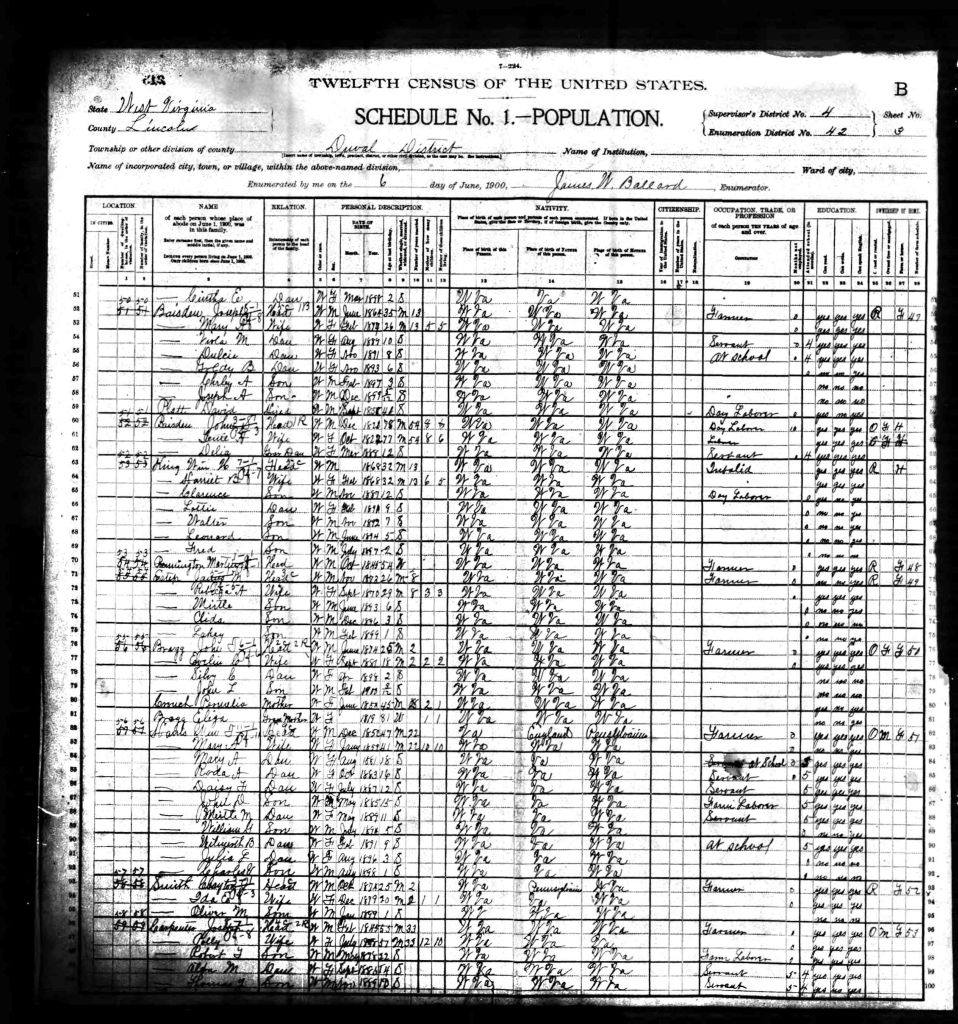 census image