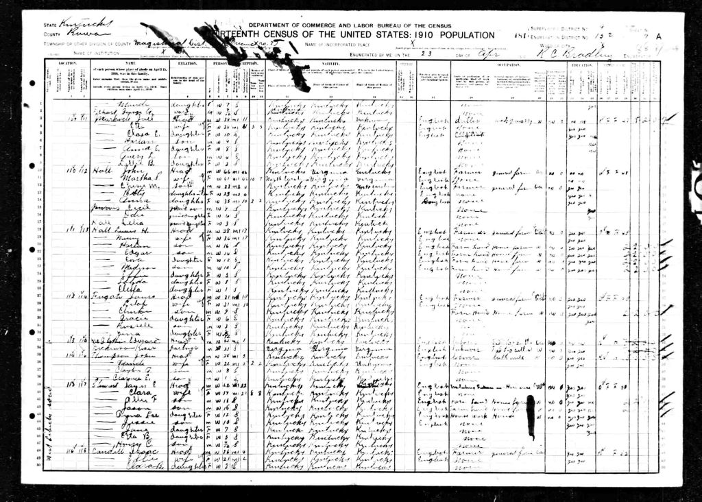 census image