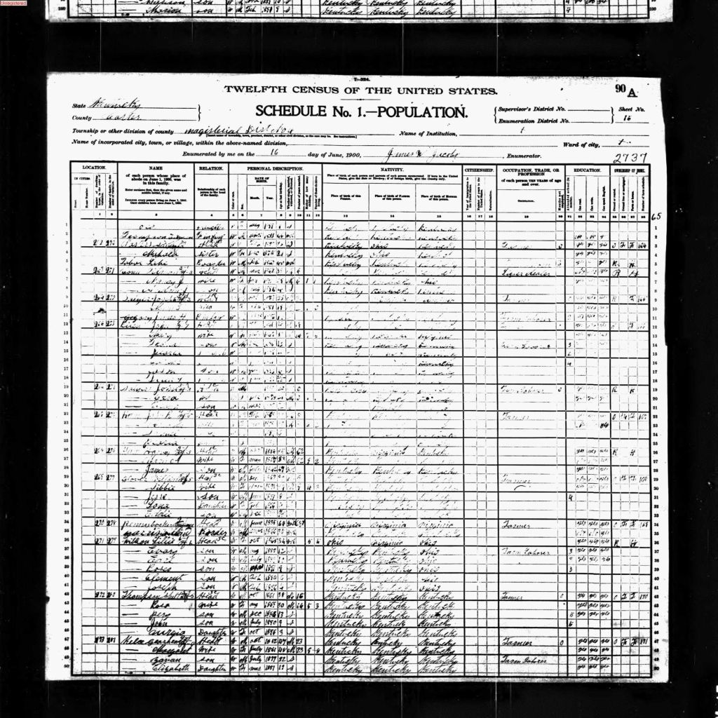 census image