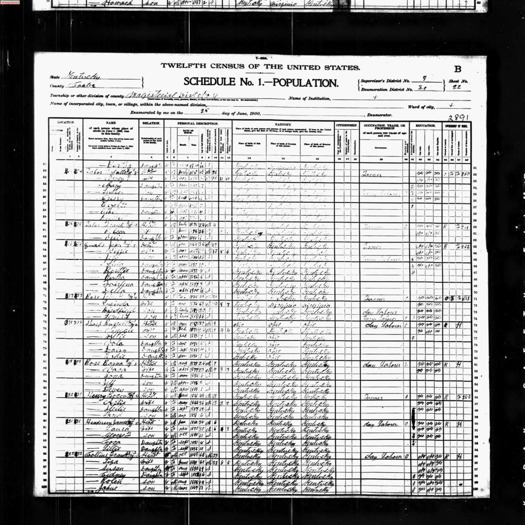 census image