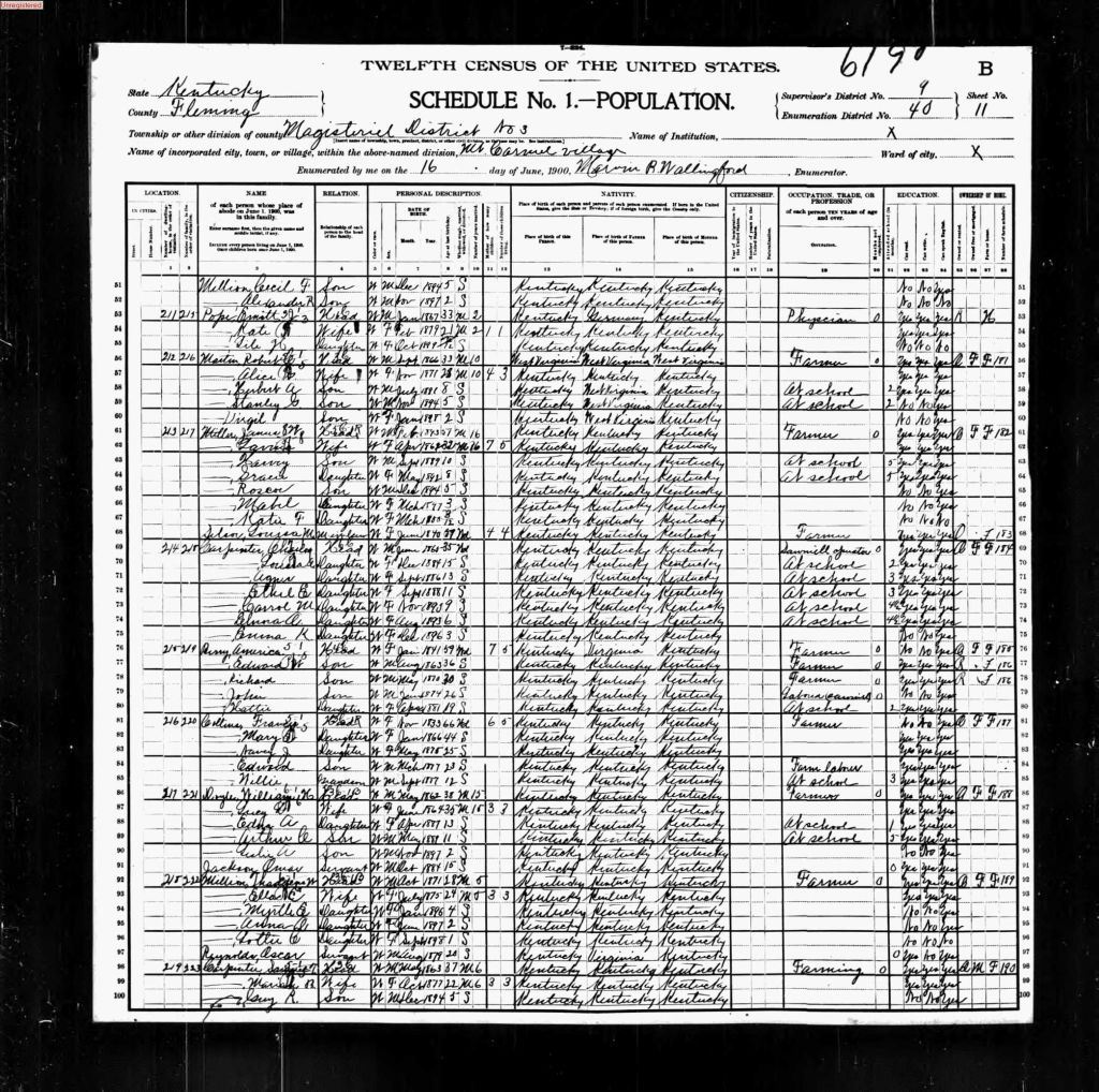 census image