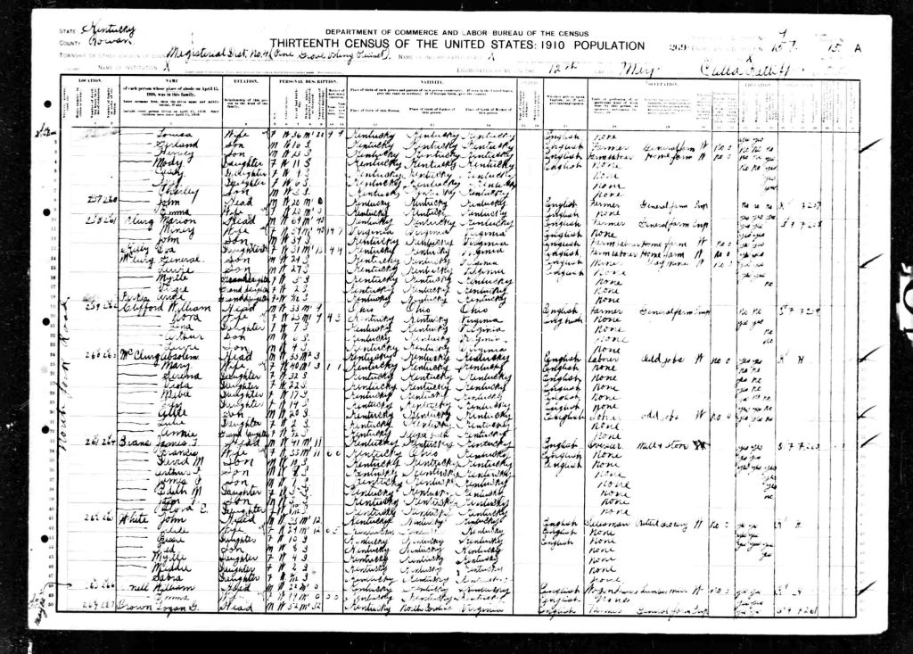 census image