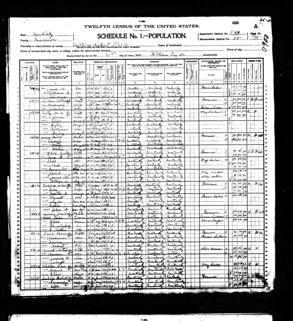 census image