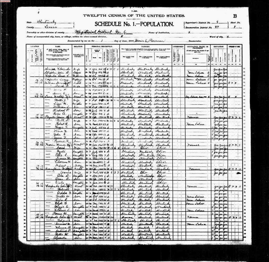 census image