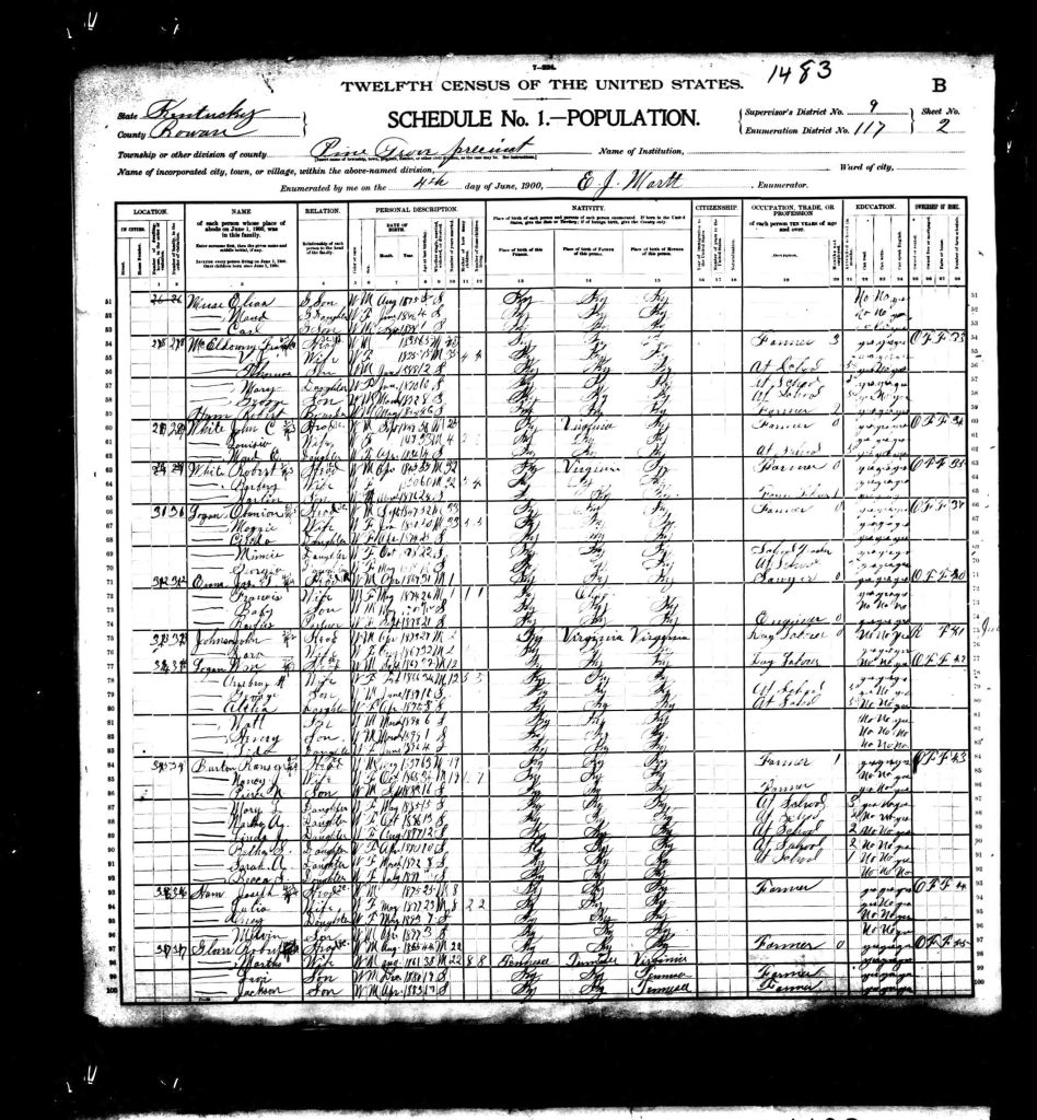 census image