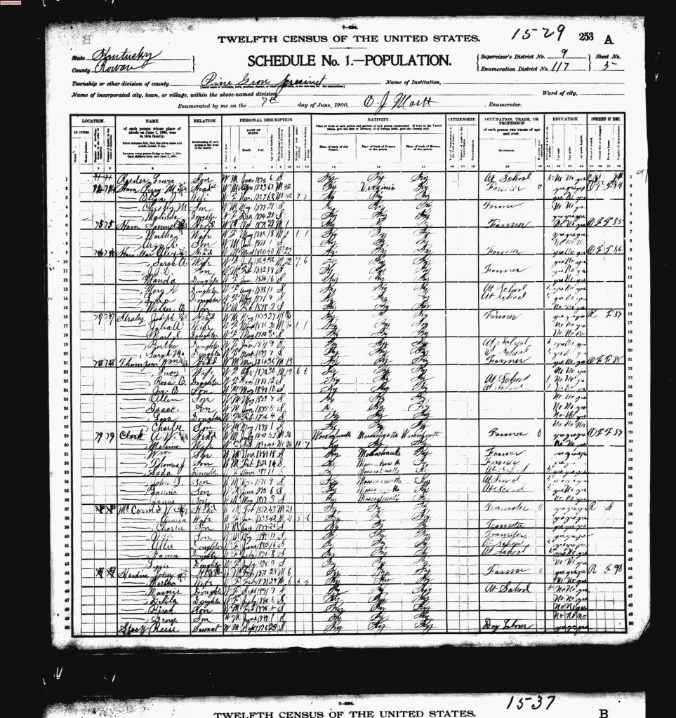 census image