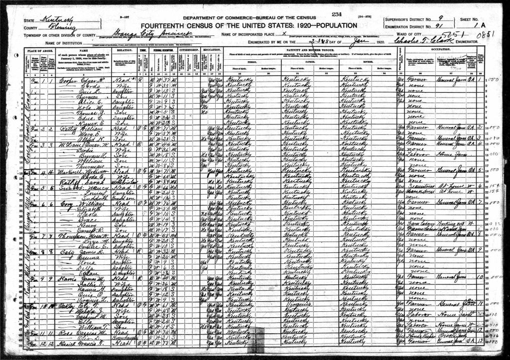 census image