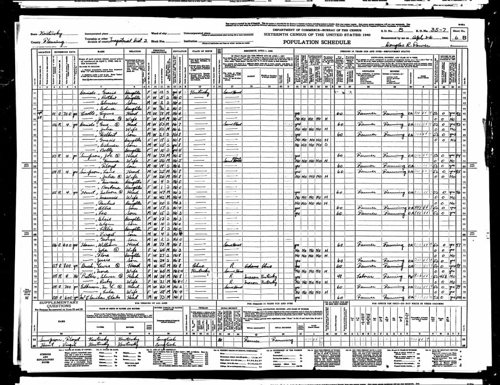 census image