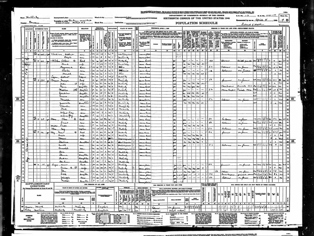 census image