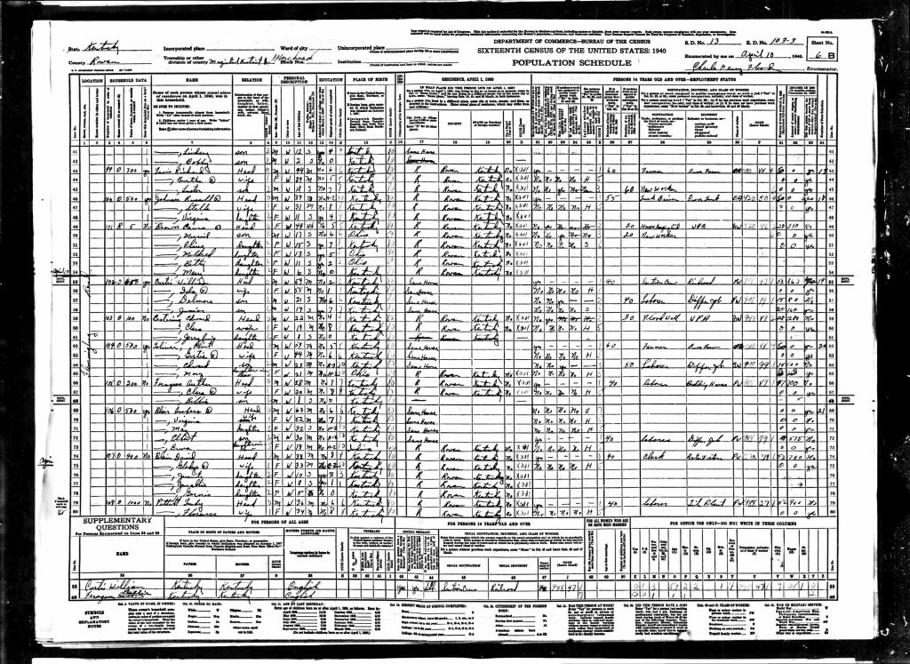 census image