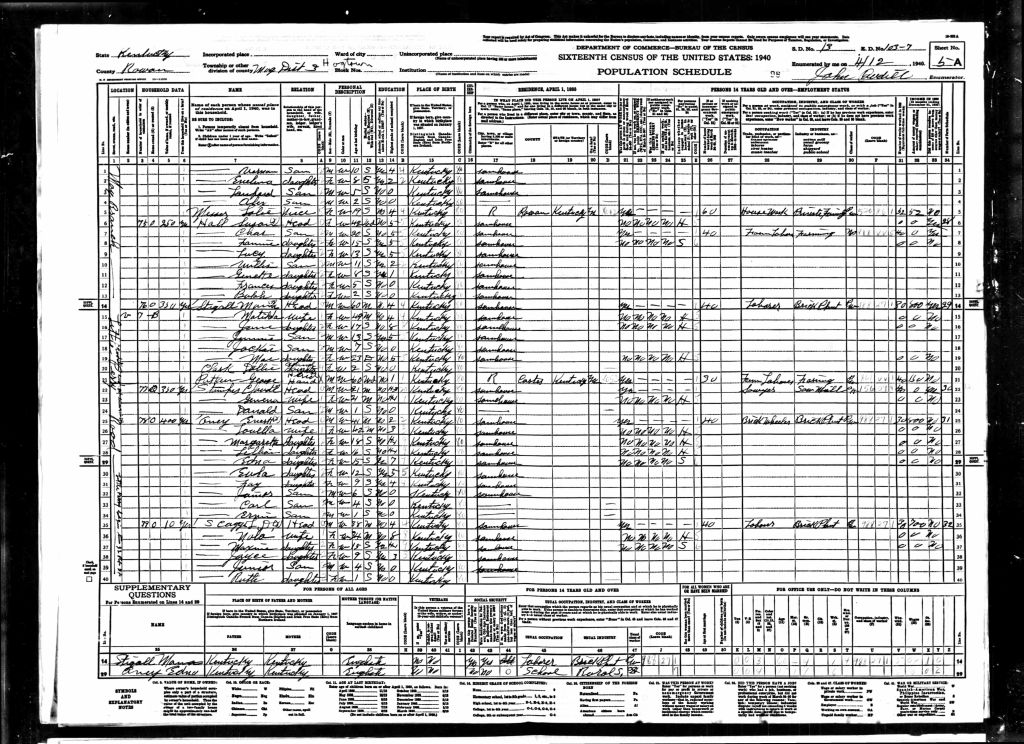 census image