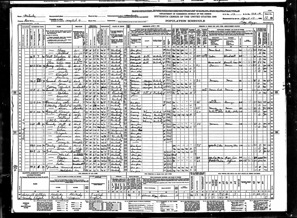 census image