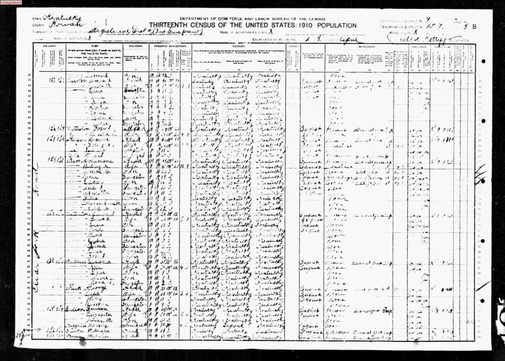 census image