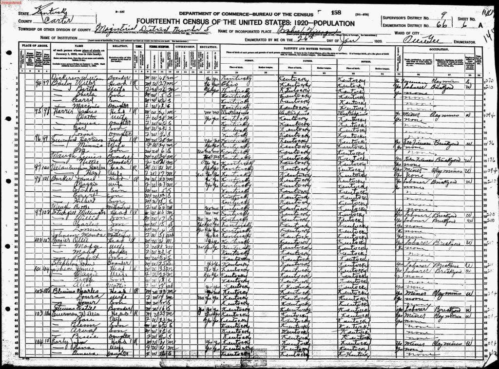 census image