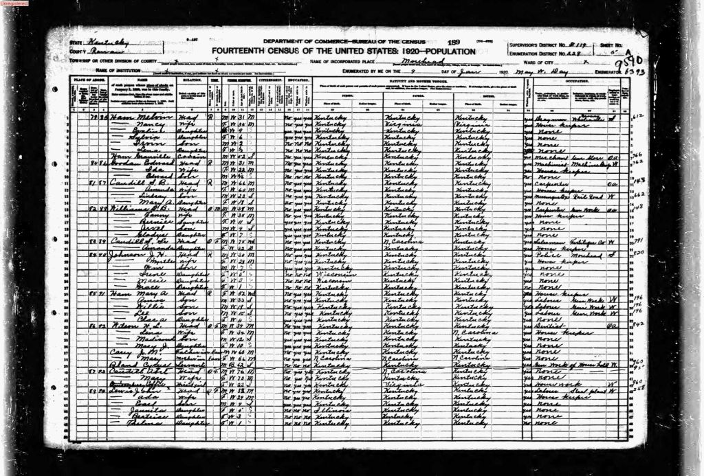 census image