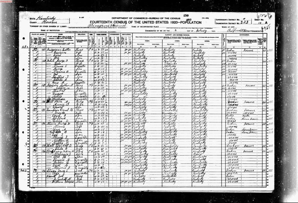 census image