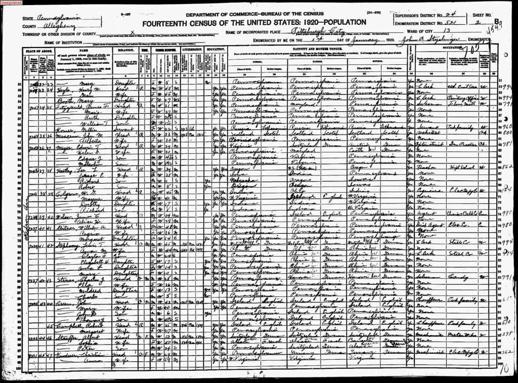 census image