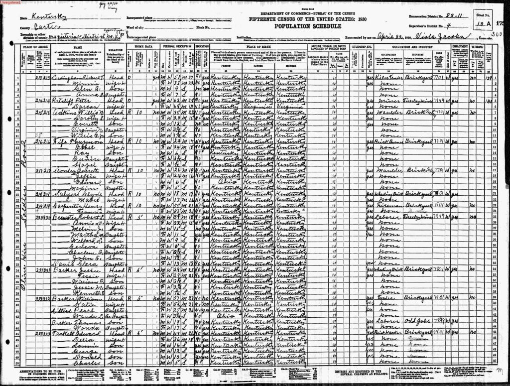 census image