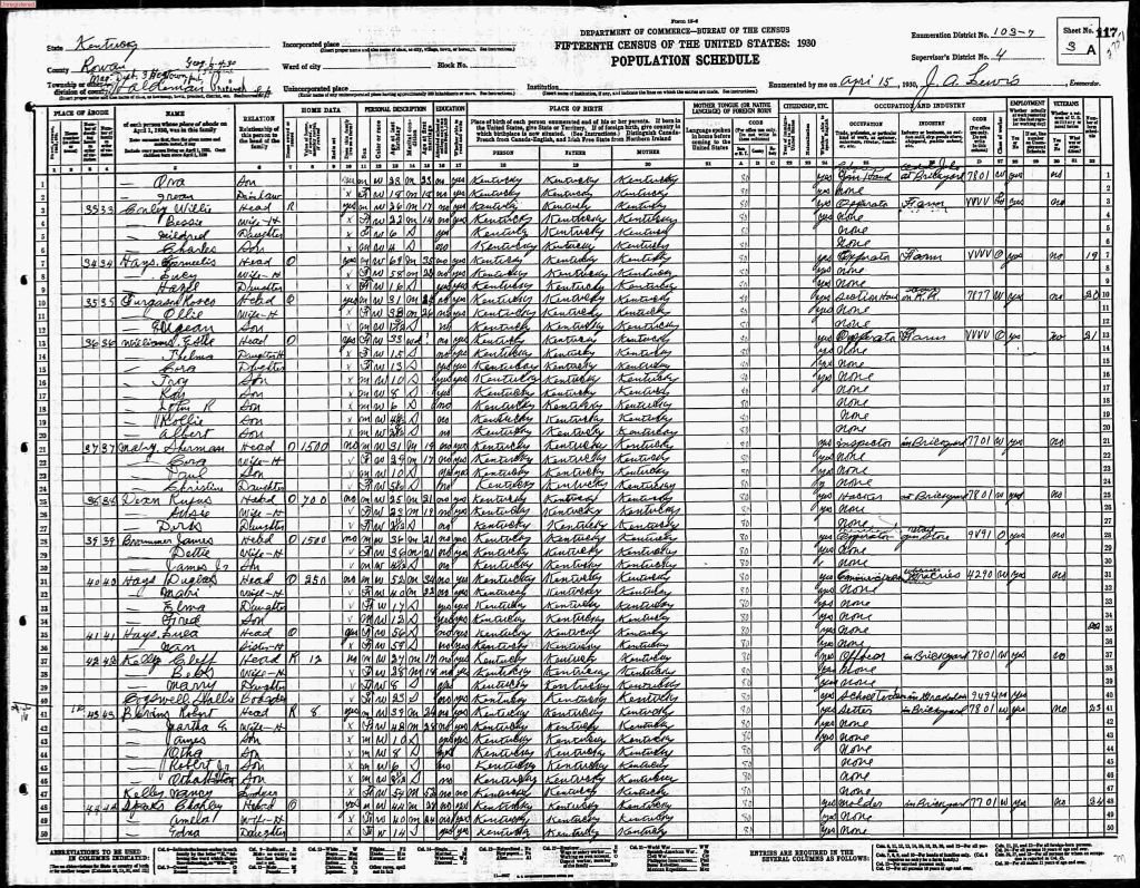 census image