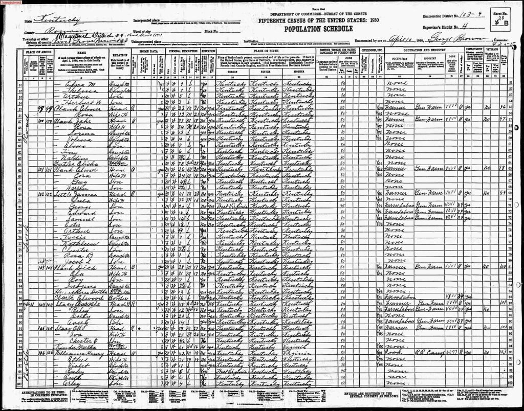 census image