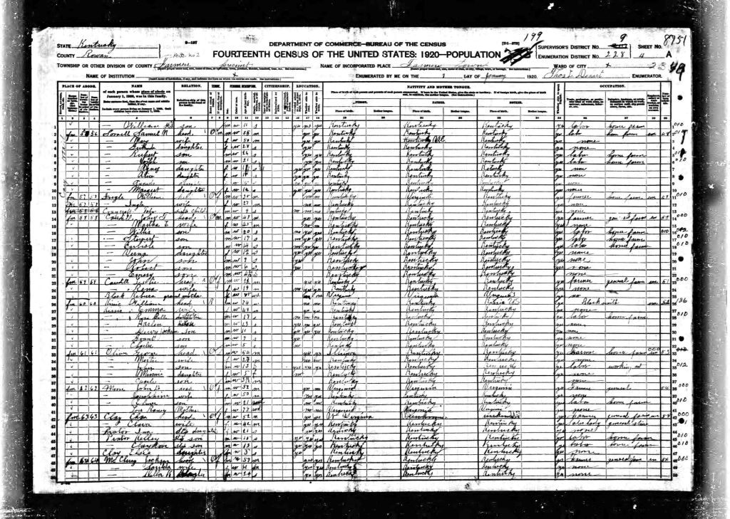 census image