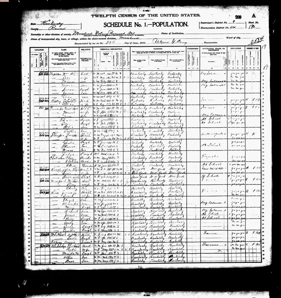 census image