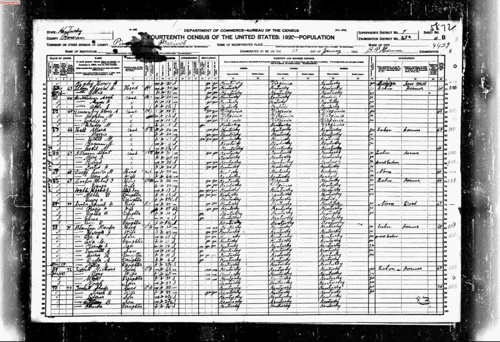 census image