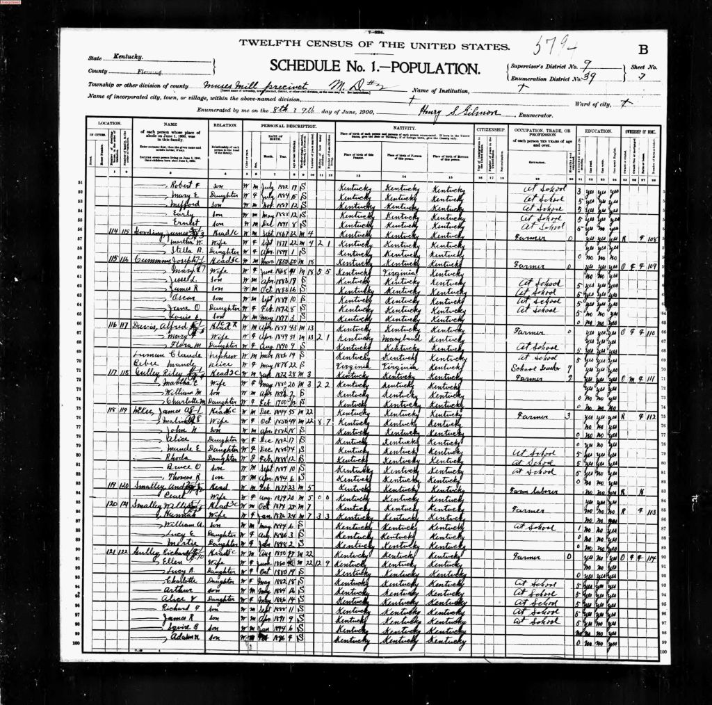 census image