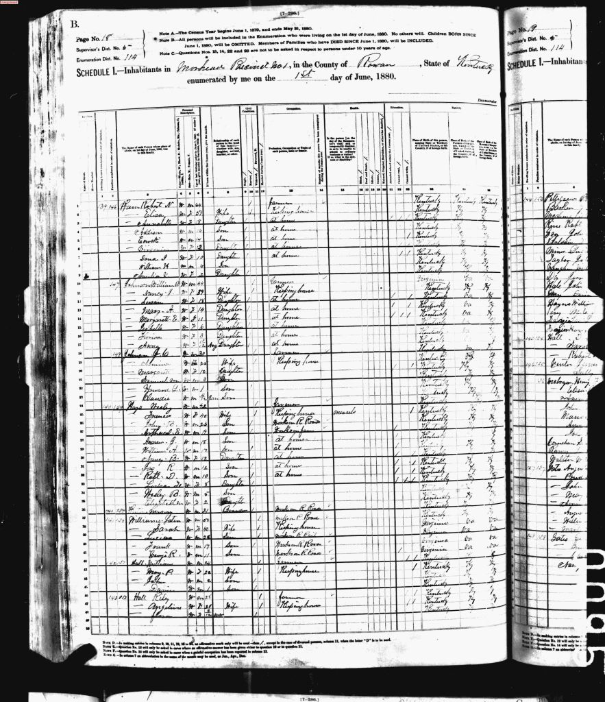 census image