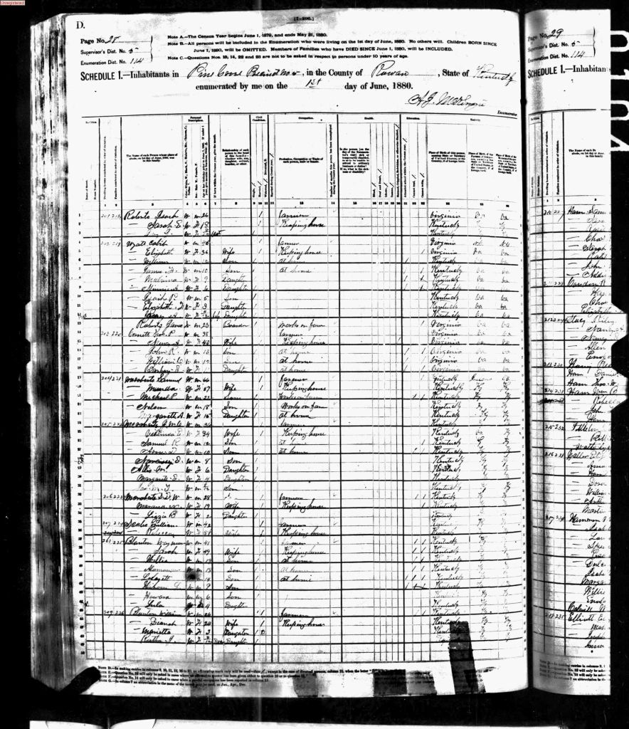 census image