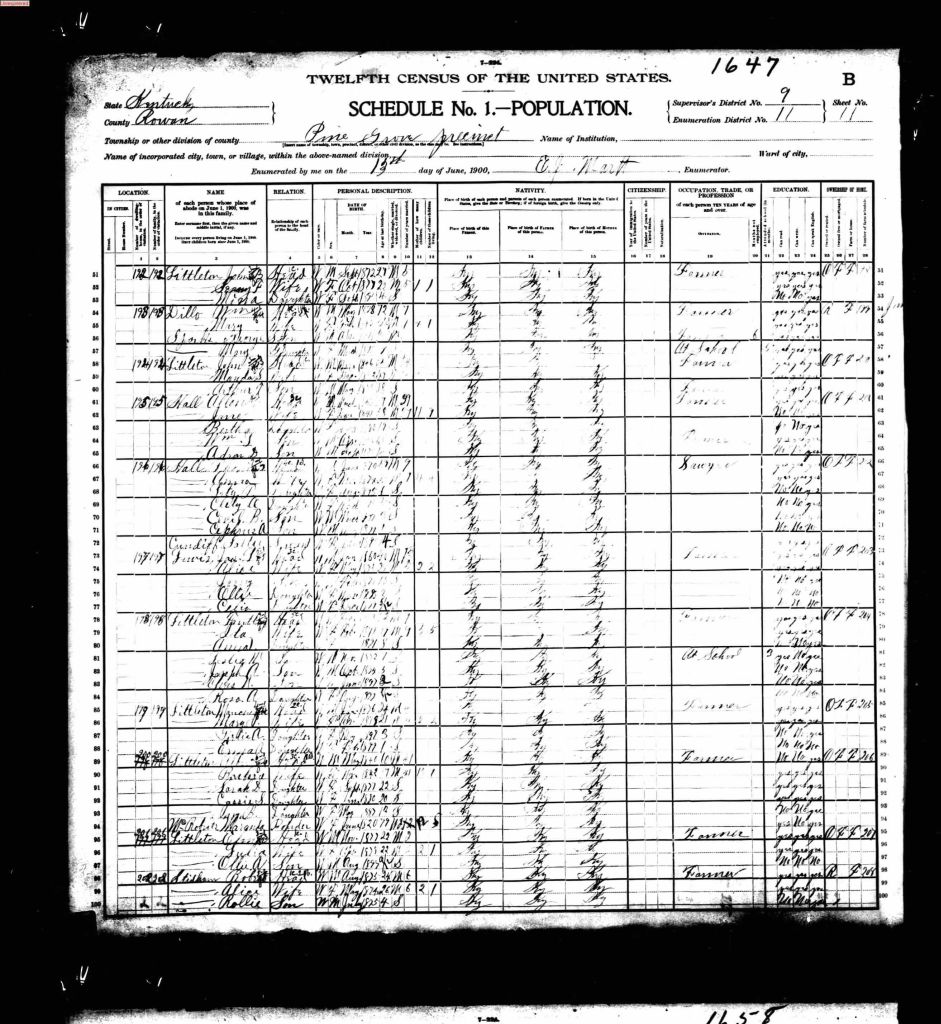 census image