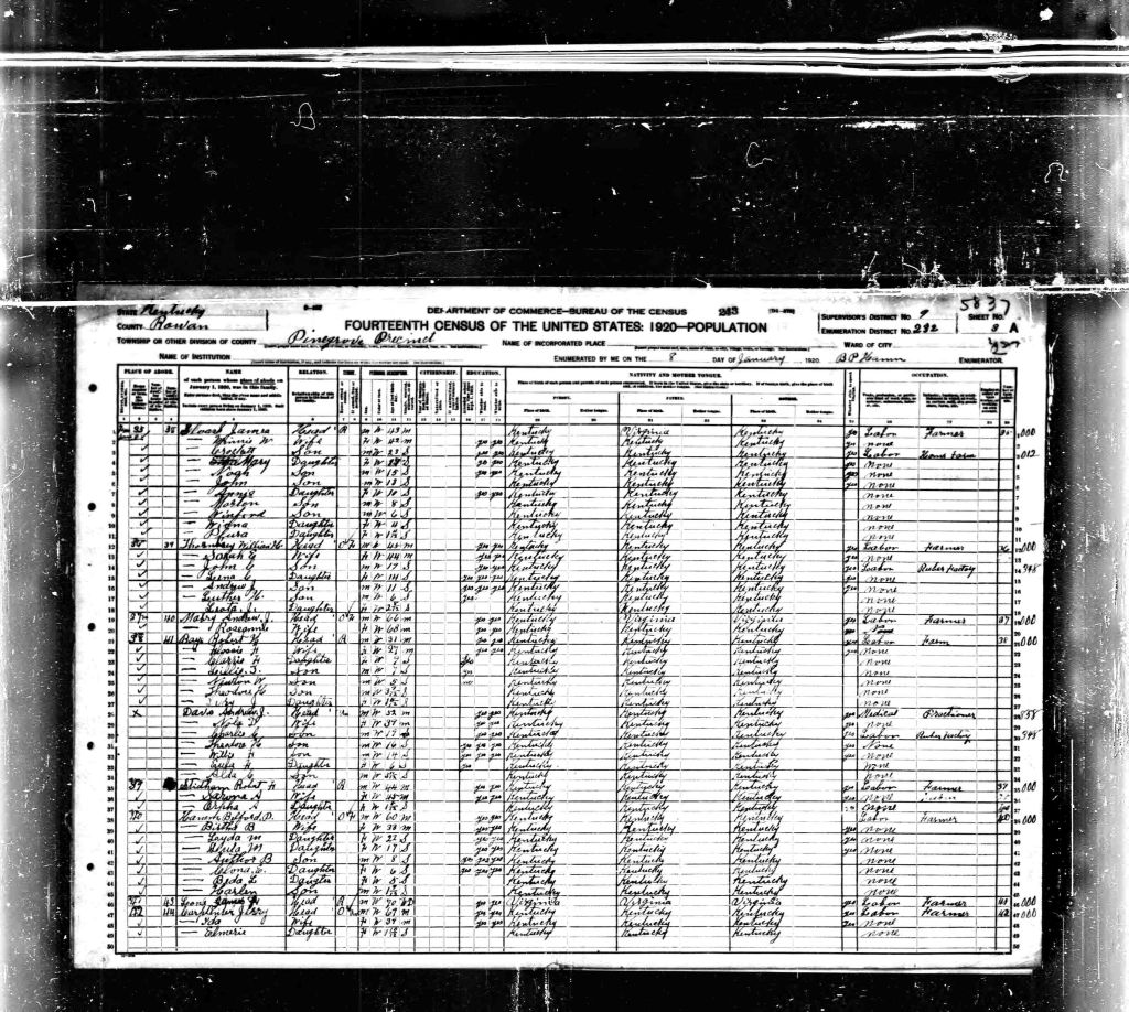 census image