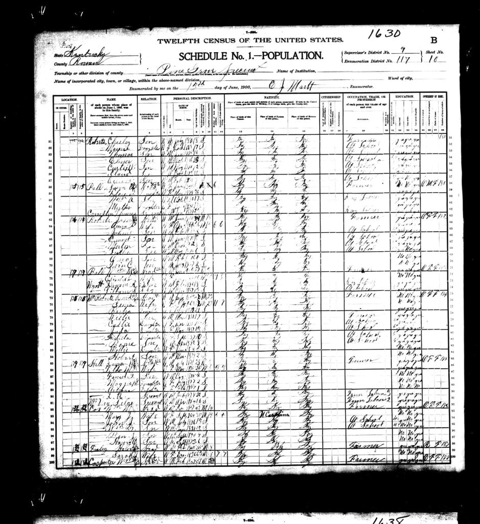 census image