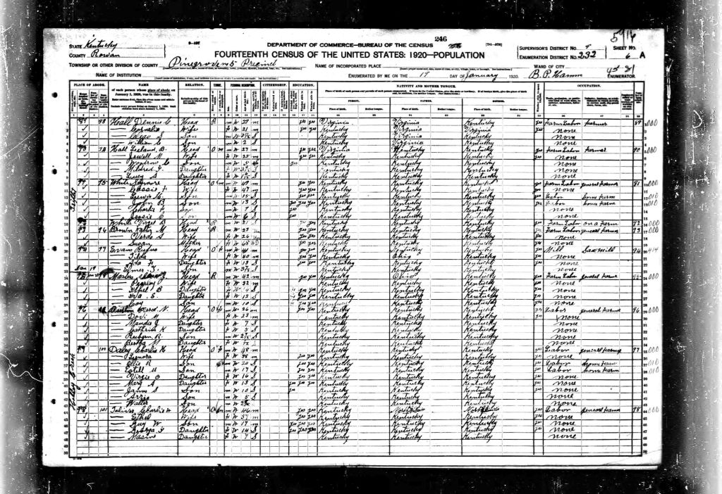 census image