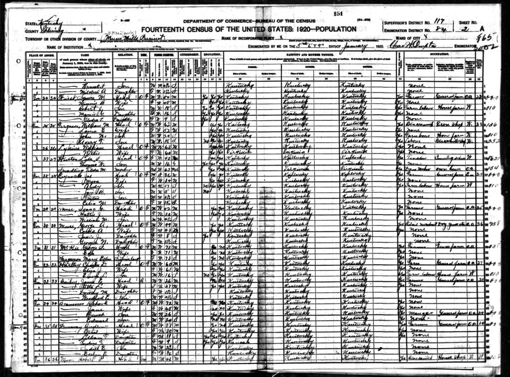 census image