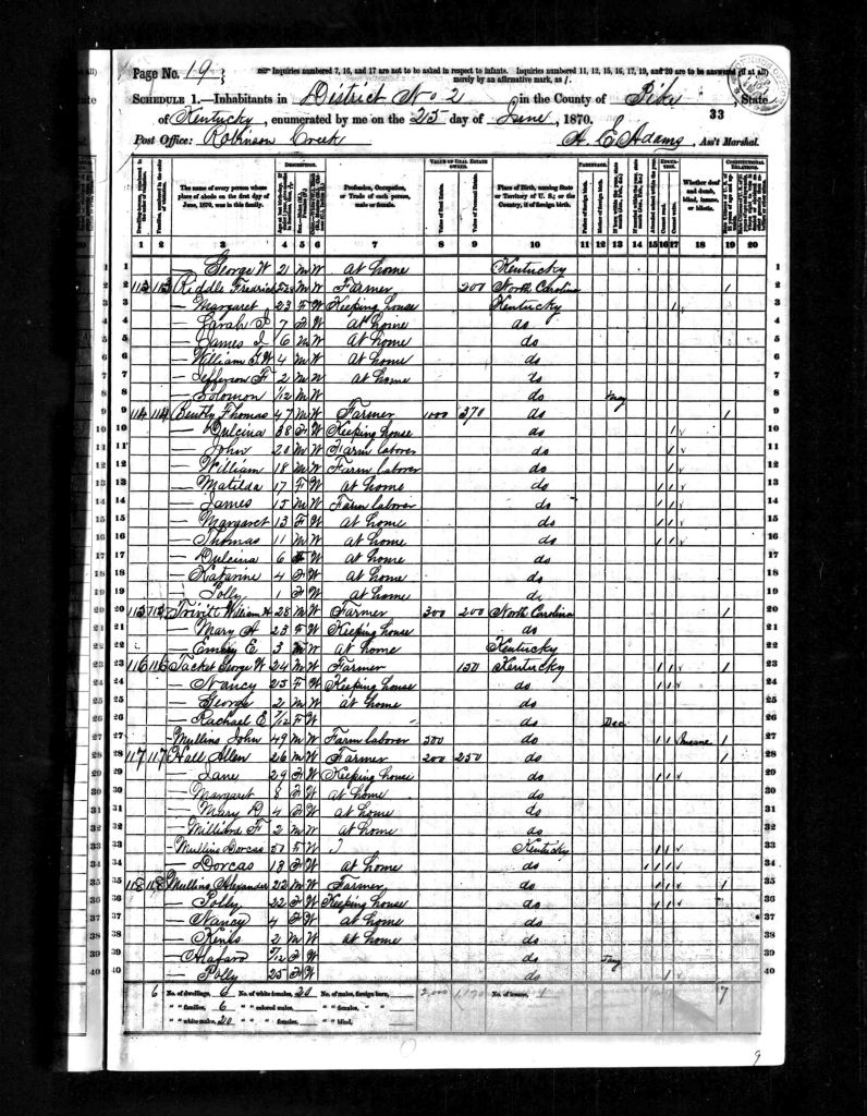 census image