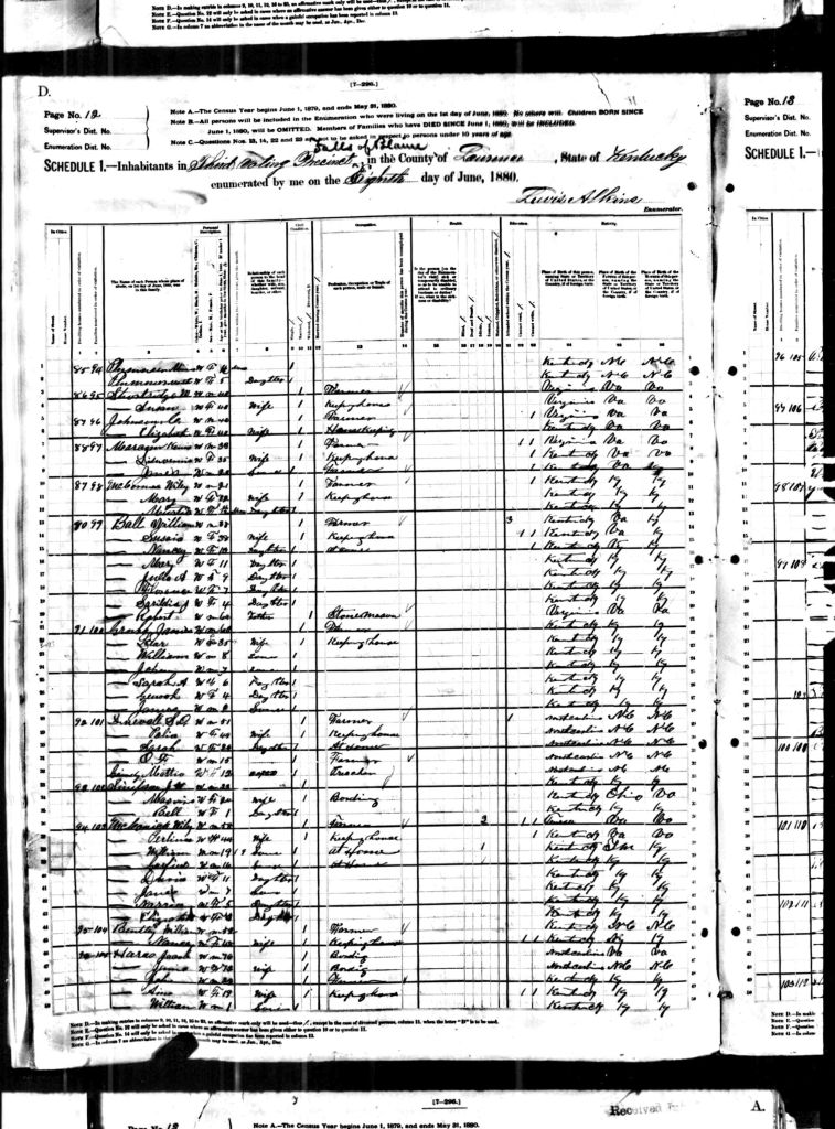 census image