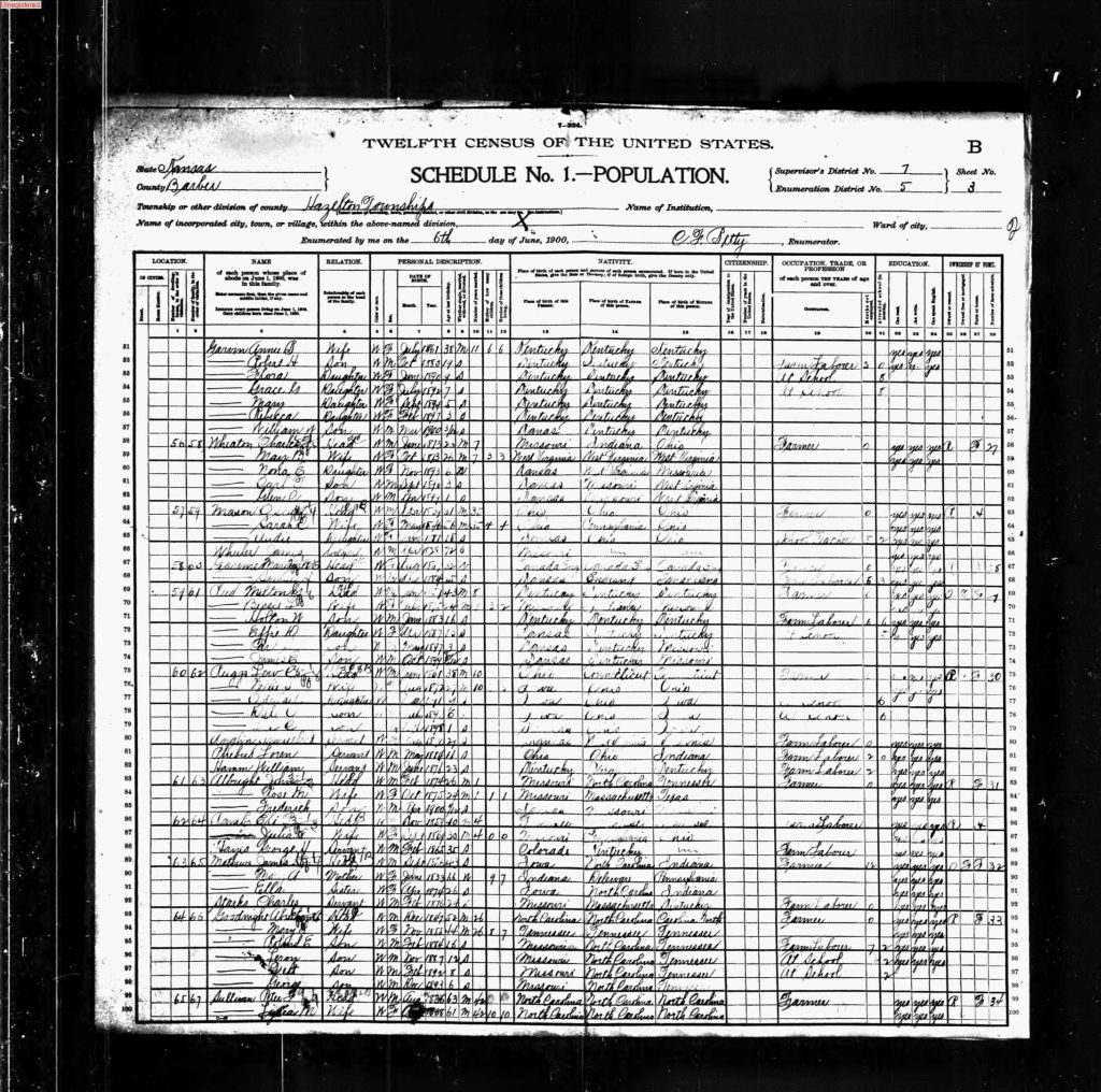 census image