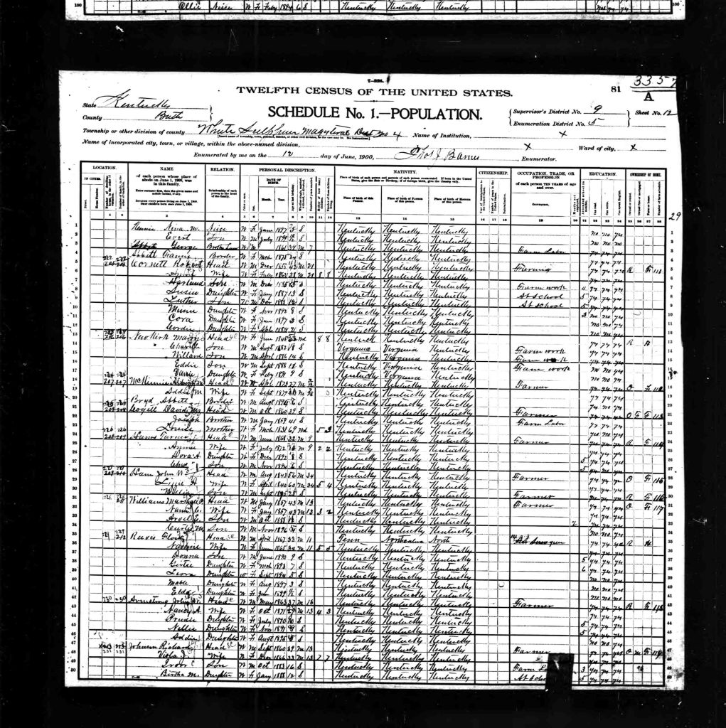 census image