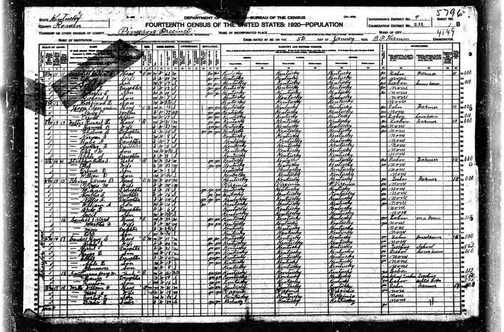 census image